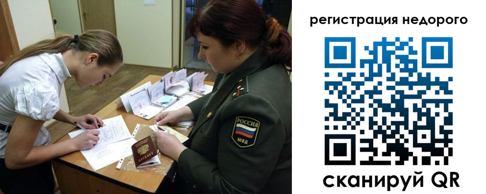 прописка для школы в Тосно